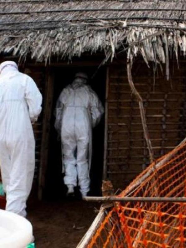 Ebola 